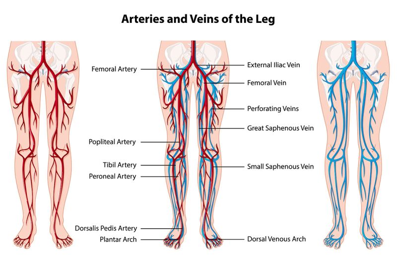 Šta je vaskularna hirurgija?