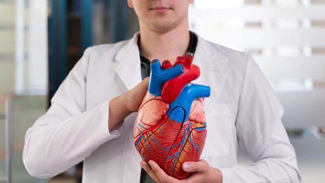 Aneurizma aorte: Prevencija i lečenje Aneurizma aorte: Prevencija i lečenje