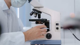 Napredna magnetna rezonanca mogla bi da otkrije rizik od hronične bolesti bubrega pre operacije tumora bubrega Napredna magnetna rezonanca mogla bi da otkrije rizik od hronične bolesti bubrega pre operacije tumora bubrega