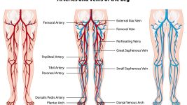 Vaskularna hirurgija: Ključne informacije i saveti za pacijente